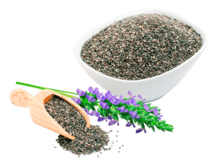 Hạt Chia